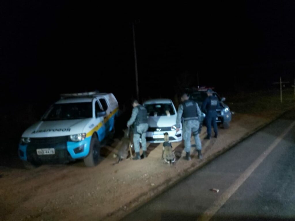 Cães farejadores do 2º BPM Polícia Militar Rodoviária localizam “mocó” de droga