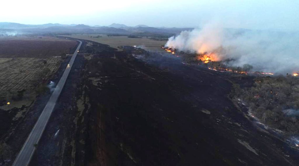 "Decreto é bem-vindo, porém MS espera mais fiscalização e ajuda no combate a incêndios", diz Semagro