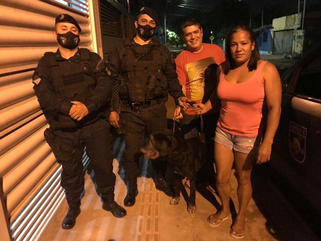 Cão policial Zulu, do Batalhão de Choque, encerra suas 'atividades profissionais'