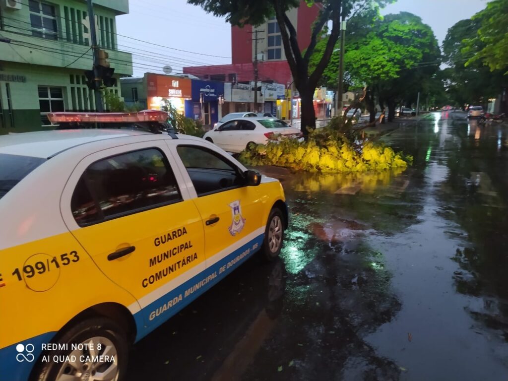 Após temporal em Dourados, prefeitura já realizou mais de 200 atendimentos