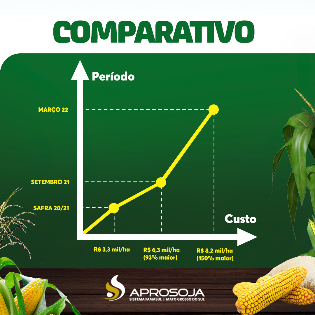 Mato Grosso do Sul tem aumento de 150% no custo de produção do milho