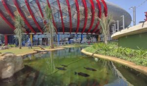 Bioparque Pantanal poderá ter período de gratuidade; alunos serão os primeiros a visitar