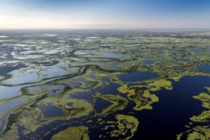 Dia da Água reforça a importância da preservação para o equilíbrio da vida na Terra