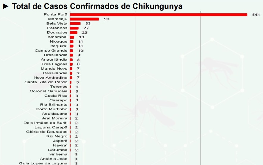 Após cinco anos, MS volta a registrar mortes provocadas pela febre chikungunya