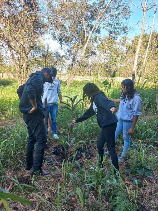 Imam inicia ações da Semana Meio Ambiente com palestras e plantio de mudas em Dourados