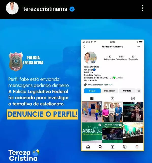 Golpistas usam perfil falso para pedir dinheiro em nome da senadora Tereza Cristina