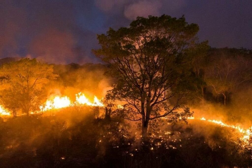 Agosto Cinza: Mês dedicado à prevenção e combate a incêndios tem Semana dedica a conscientização em Mato Grosso do Sul