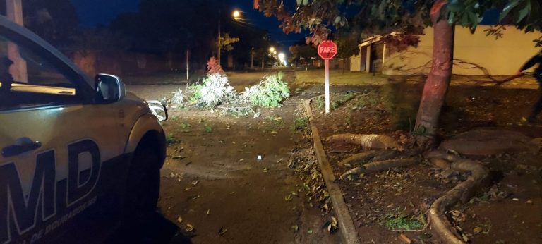 Dourados registra temporal com rastro de 'destruição' pela cidade que teve milhares ficando sem energia 