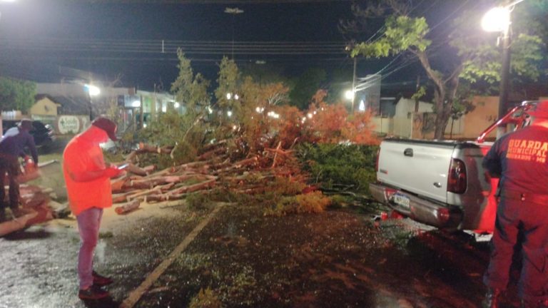 Dourados registra temporal com rastro de 'destruição' pela cidade que teve milhares ficando sem energia 