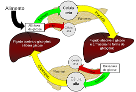 Diabetes Mellitus