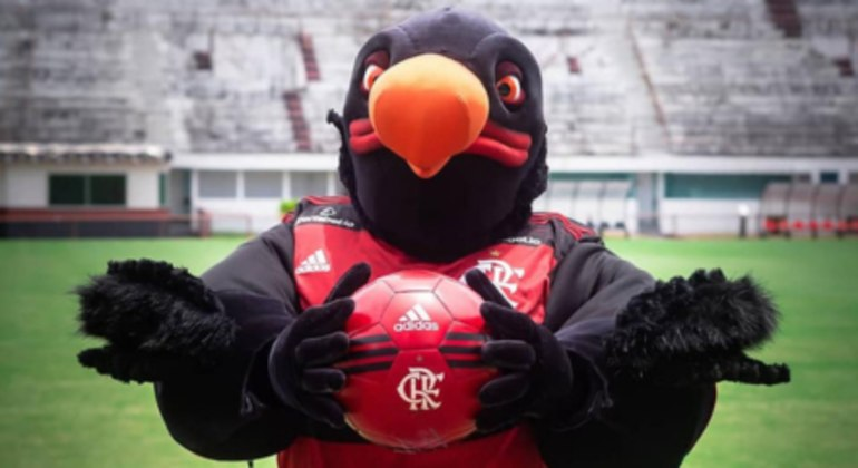 Galo, Porco e Raposa: conheça a origem das mascotes dos times de futebol da Série A