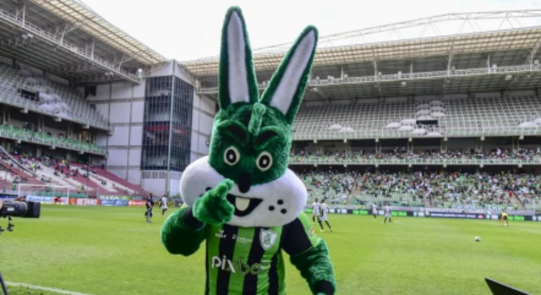 Galo, Porco e Raposa: conheça a origem das mascotes dos times de futebol da Série A