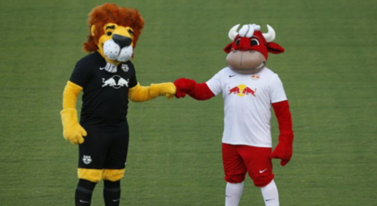 Galo, Porco e Raposa: conheça a origem das mascotes dos times de futebol da Série A