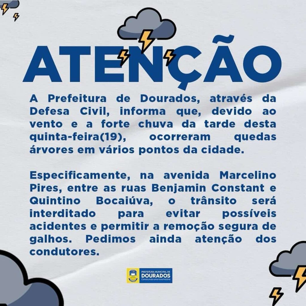 Dourados também tem chuva forte derrubando árvores, energia e tendo comércio 'alagado'