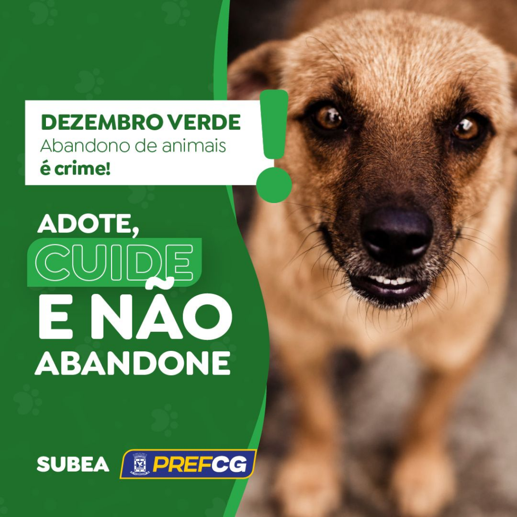 Subea lança campanha ‘Dezembro Verde’, que visa conscientizar a população contra o abandono