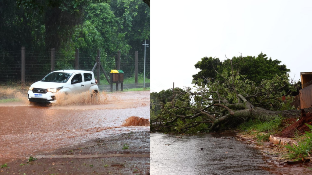 Chuva rápida e forte atinge Campo Grande, deixando ruas alagadas, árvores caídas e bairros sem energia