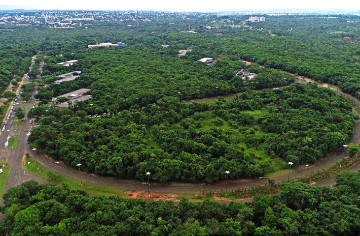 Juíza homologa acordo do MPE com governo para desmate e mais construções no Parque dos Poderes