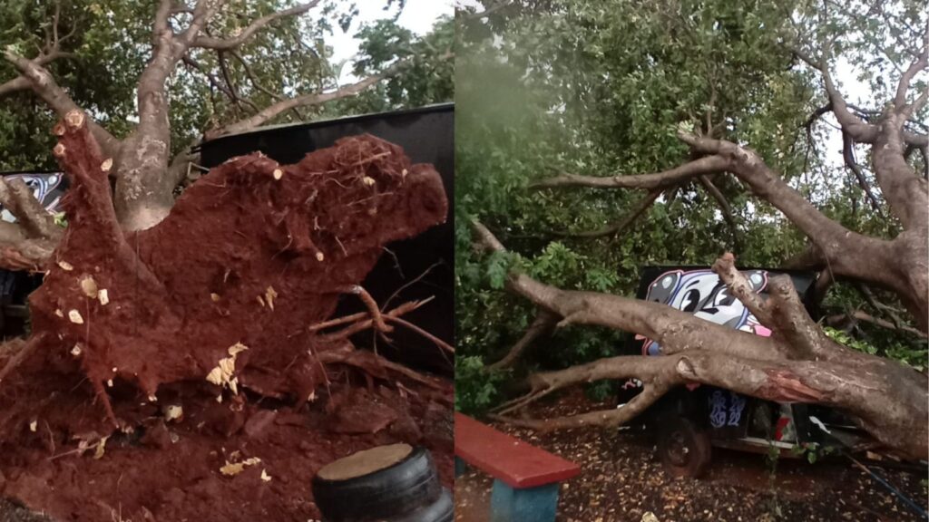 Vídeo: nuvem de poeira trouxe chuva forte e ventos intensos para Campo Grande e deixou estragos