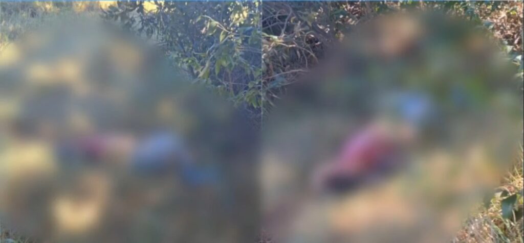 Corpo de mulher é encontrado em matagal próximo ao Porto Seco de Campo Grande