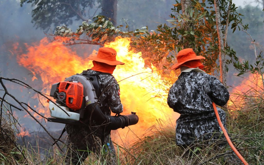 Força Nacional já atua no combate ao fogo no Pantanal sob coordenação de MS