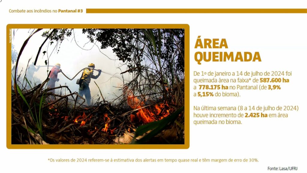 Meses históricos de calor e seca colocam equipes em alerta no Pantanal para novos incêndios descontrolados