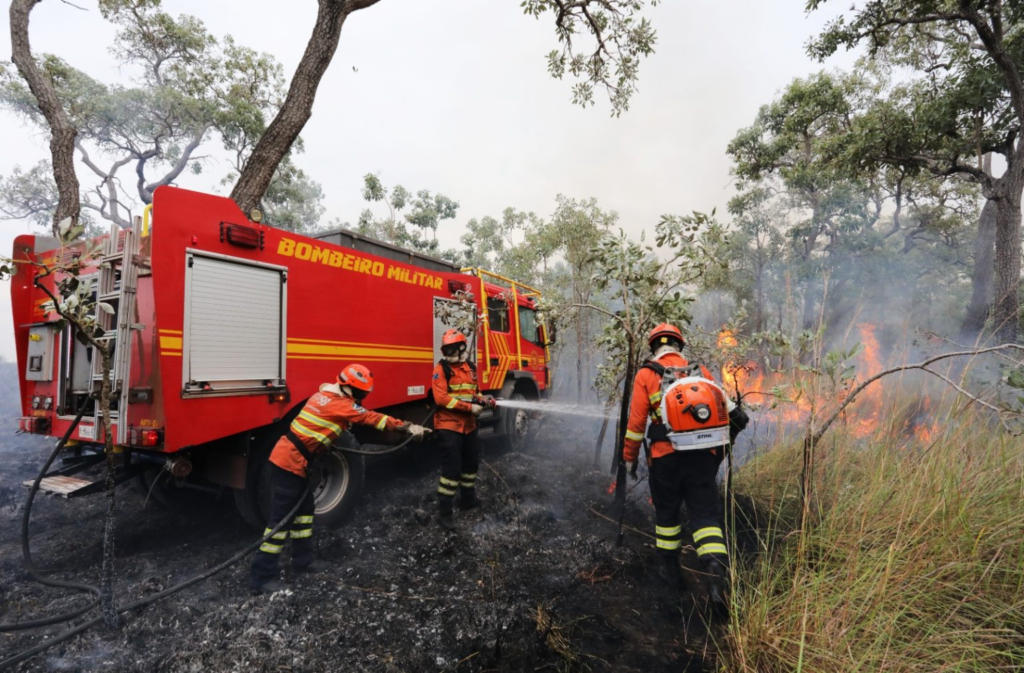 Mesmo com os incêndios ocorridos, Pantanal de MS se revela um gigante cheio de vida