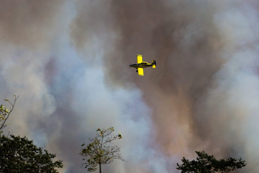 Em conjunto, Bombeiros de MS e Força Nacional trabalham para combater focos no Pantanal