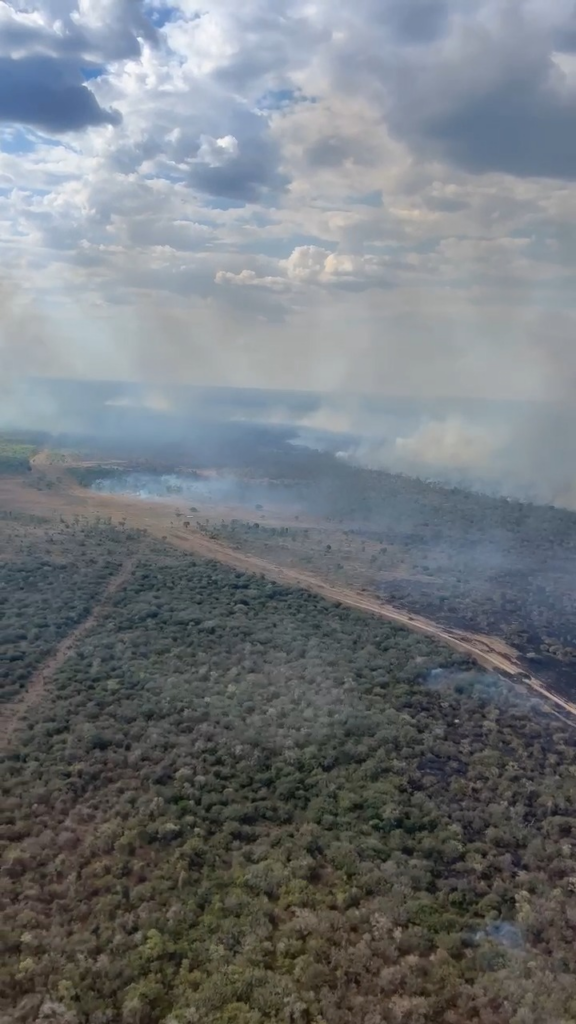 Pantanal de MS registra oito focos de incêndio nessa sexta-feira em áreas de difícil acesso; reforço militar chega na próxima semana