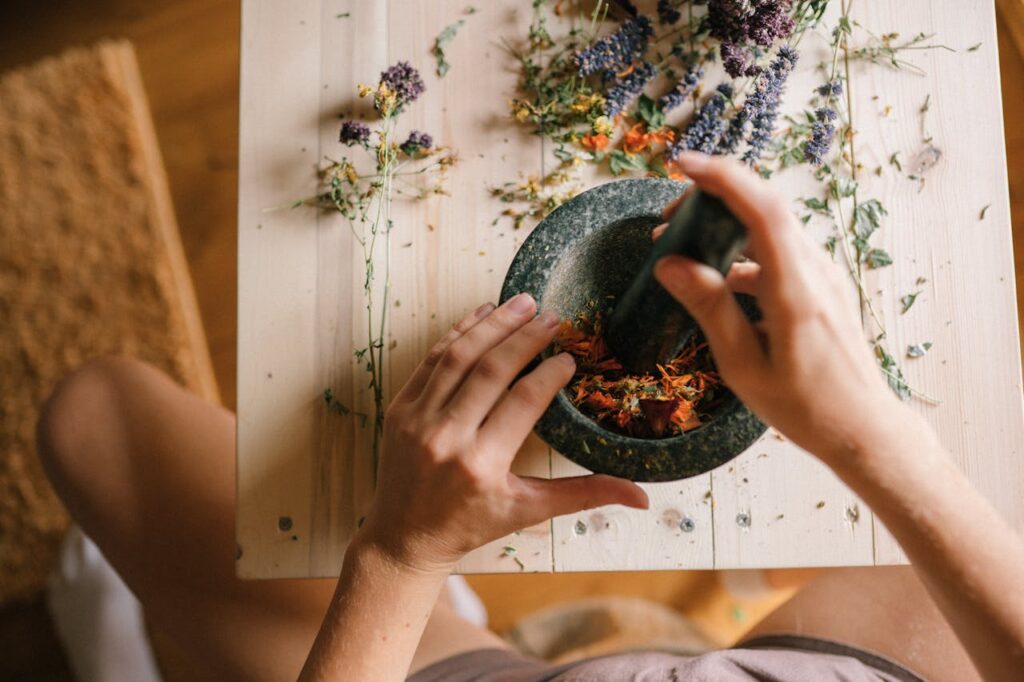 Gel, máscara e até suco detox: conheça os benefícios e o que fazer com a babosa