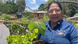 Projeto Água Vida doa viveiro para preservar árvore em risco no Pantanal