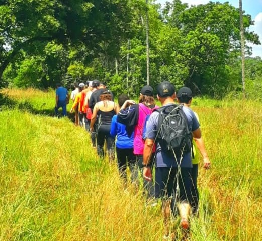 Turismo na Rota Caminho dos Ipês é impulsionado com apoio do Sebrae