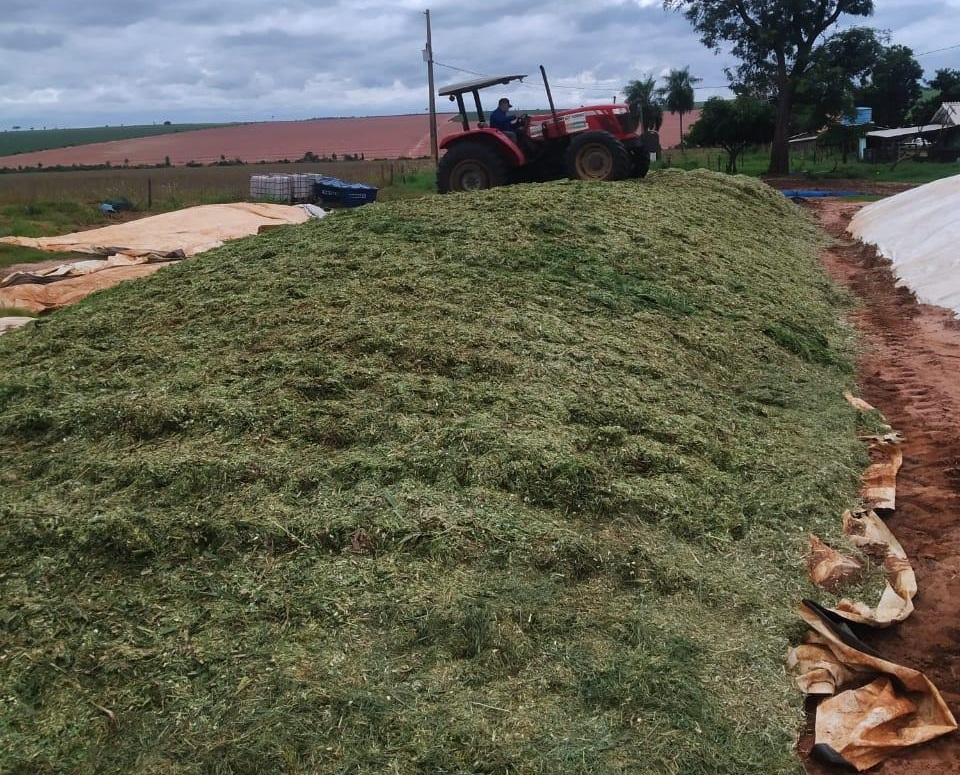 Naviraí inicia fabricação de silagem em apoio aos produtores de leite da agricultura familiar