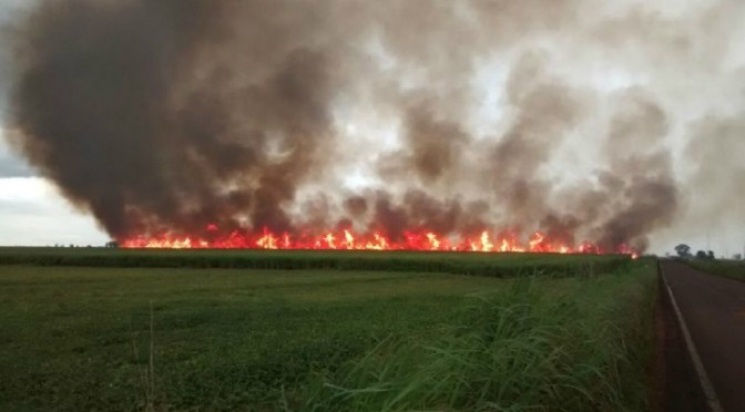 Queimadas aumentam 73,7% em MS e bombeiros reforçam em 75% efetivo de combate a incêndio