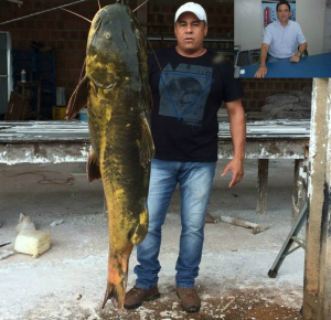 Espécie foi pescada no rio Dourados por empresários de Caarapó - Foto: Divulgação