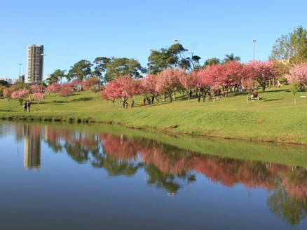  (Foto: Divulgação/Prefeitura de SP)