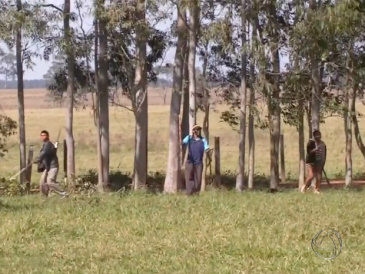 Produtores rurais e índios entram em confronto após ocupação em Coronel Sapucaia
(Foto: Reprodução/TV Morena)